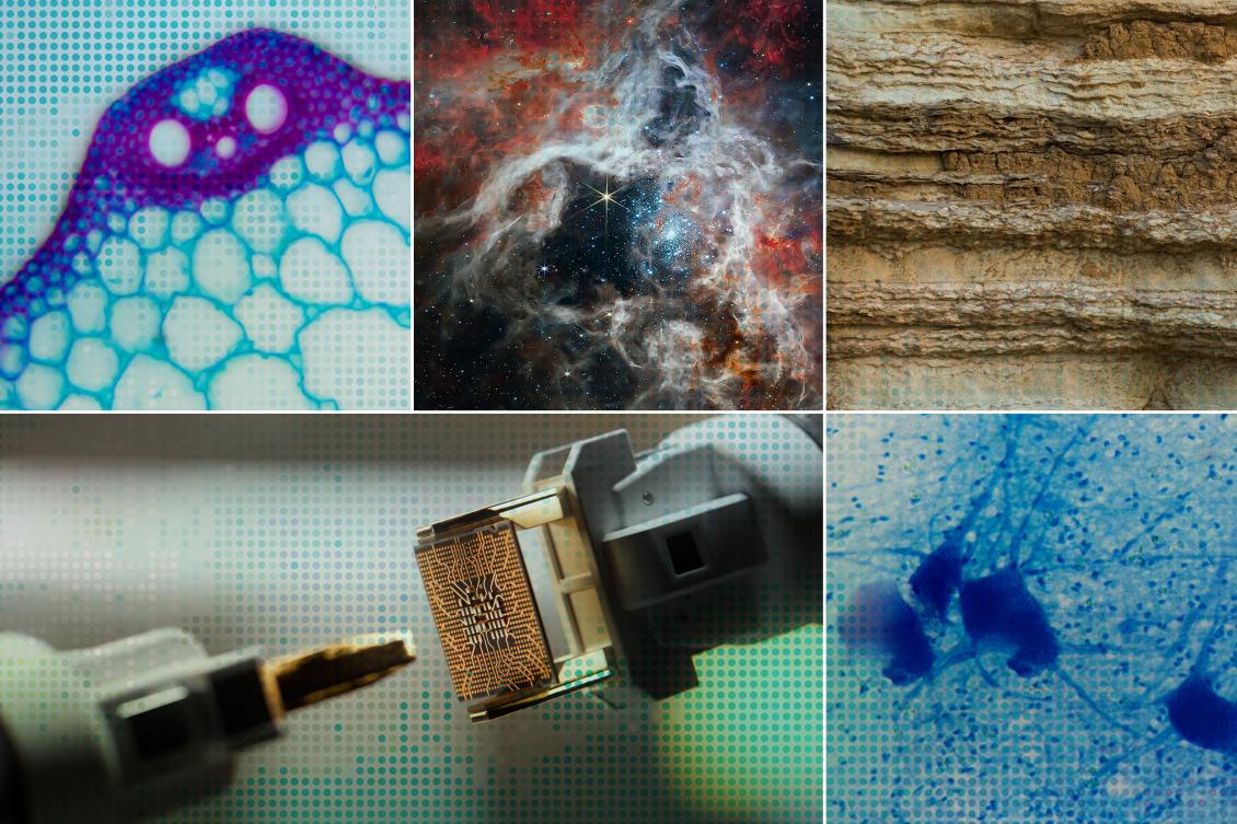 Accelerating scientific discovery with AI Accelerating scientific discovery with AI