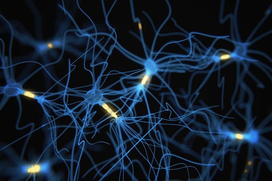MIT-Label-Neurons.jpg