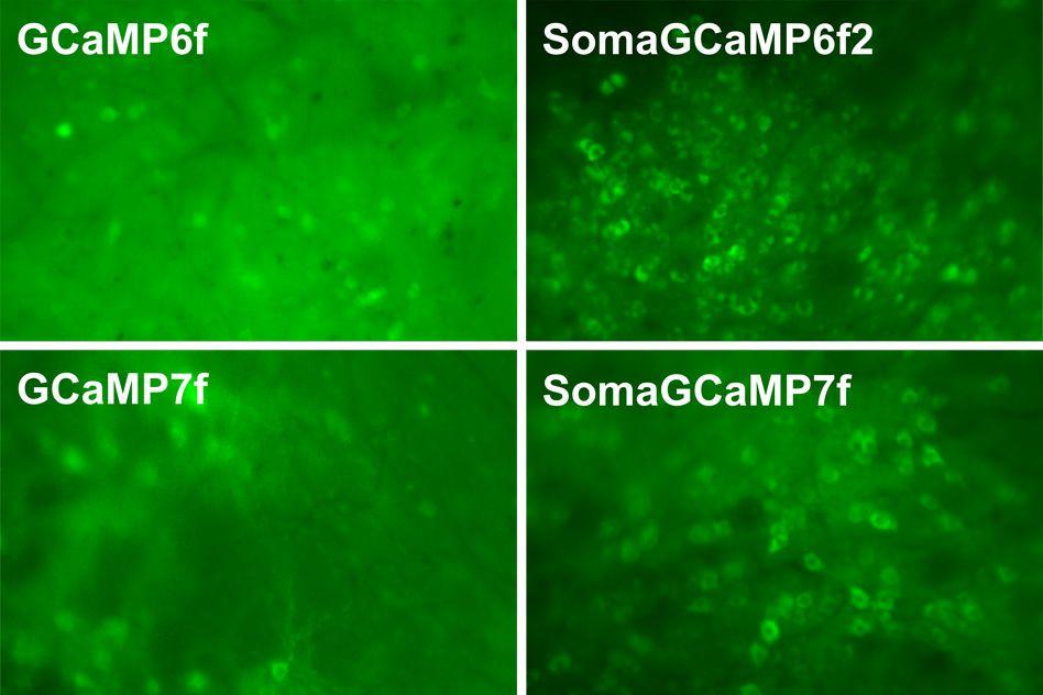 MIT-Molecular-Focus-01.jpg MIT-Molecular-Focus-01.jpg