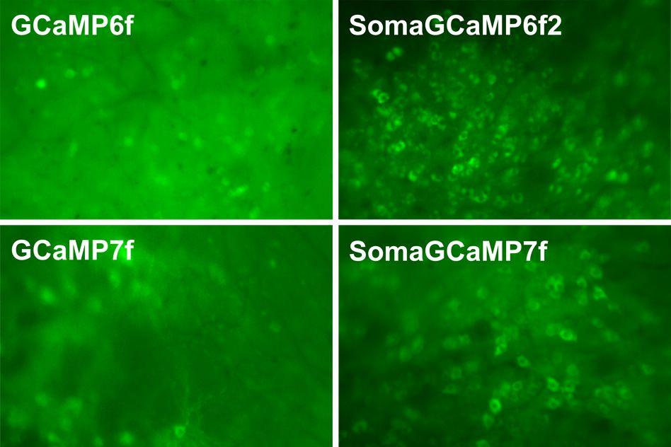 MIT-Molecular-Focus-01.jpg