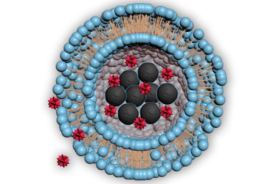 MIT-Nanomaterial-Drug-Delivery-01.jpg MIT-Nanomaterial-Drug-Delivery-01.jpg