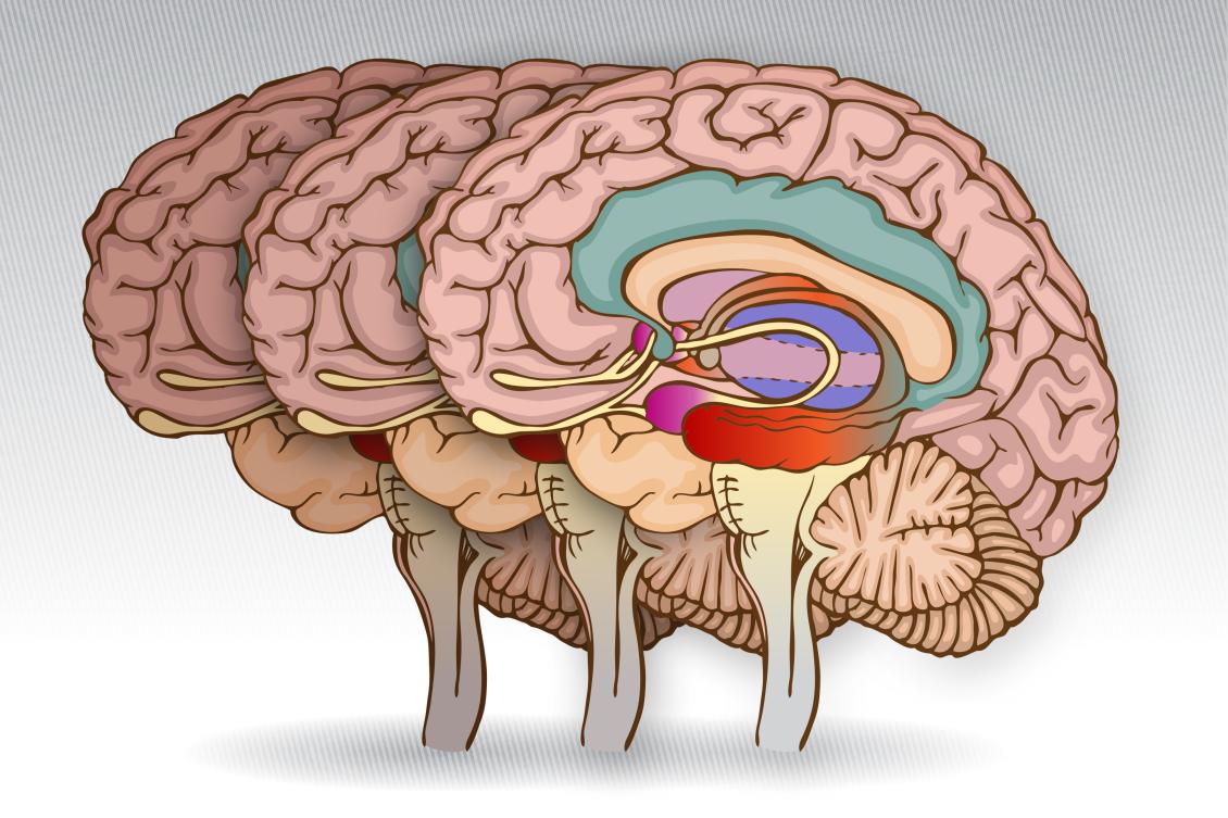 How cognition changes before dementia hits How cognition changes before dementia hits