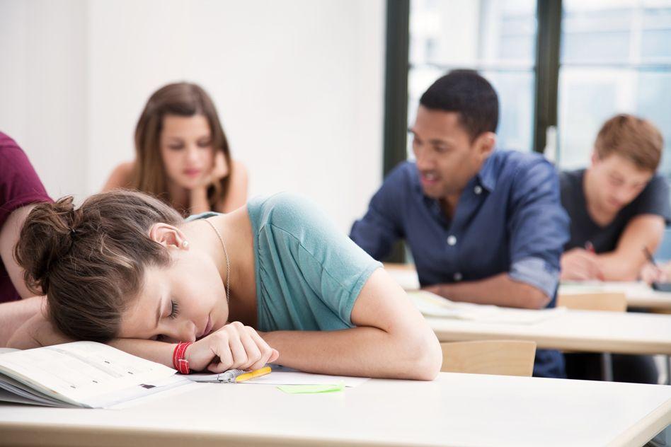 MIT-Sleepy-Students.jpg MIT-Sleepy-Students.jpg