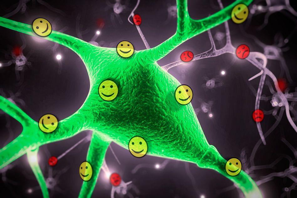 MIT-emotional-circuits_0.jpg MIT-emotional-circuits_0.jpg
