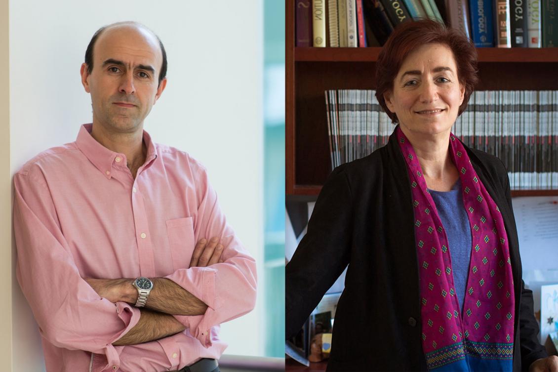 MIT-school-of-science-awards-mehrdad-jazayeri-hazel-sive.jpg