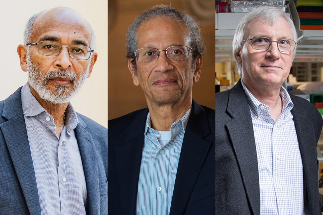 Emery Brown, Daniel Hastings, and Douglas Lauffenburger named Institute Professors