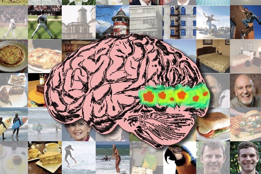 Mapping the brain pathways of visual memorability Mapping the brain pathways of visual memorability