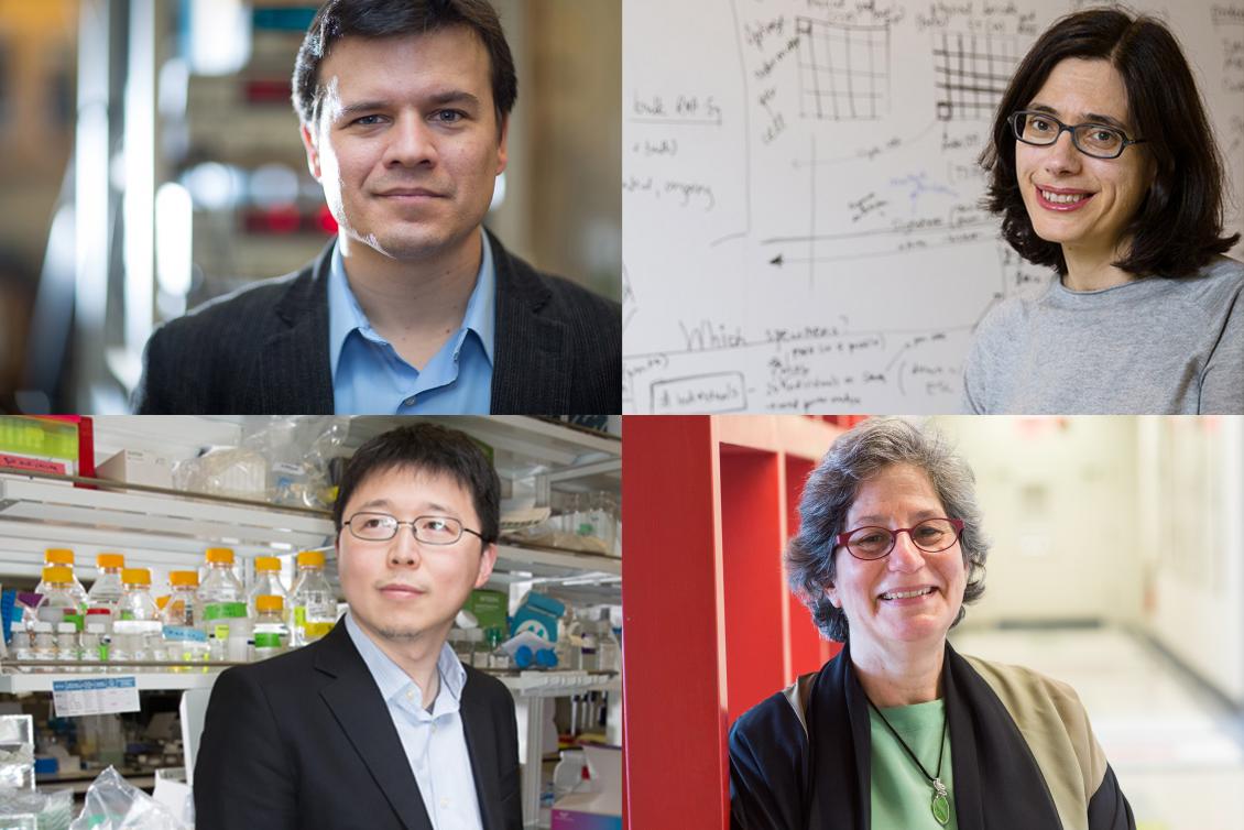 Four MIT scientists honored with 2021 National Academy of Sciences awards