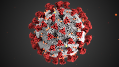 coronavirus-cdc-23311-500px.png