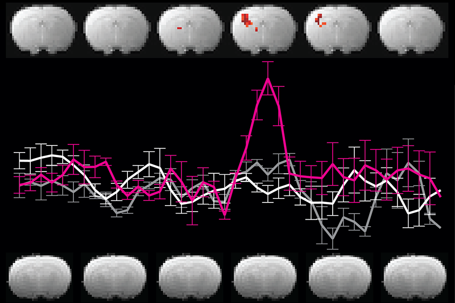 Reevaluating an approach to functional brain imaging Reevaluating an approach to functional brain imaging
