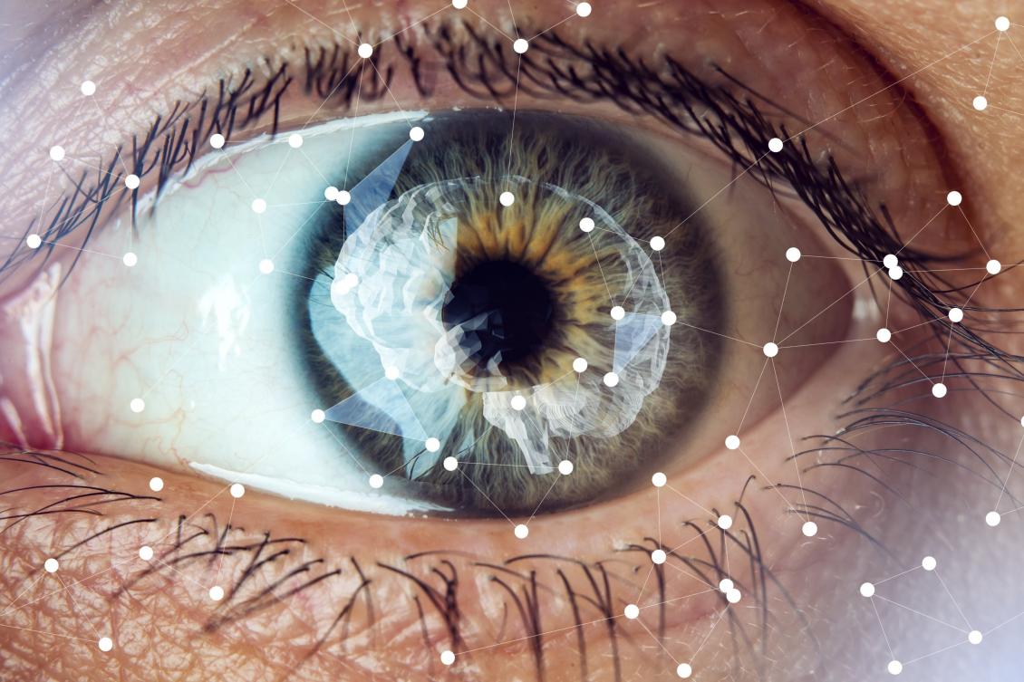 Behind the scenes, brain circuit ensures vision remains reliable Behind the scenes, brain circuit ensures vision remains reliable