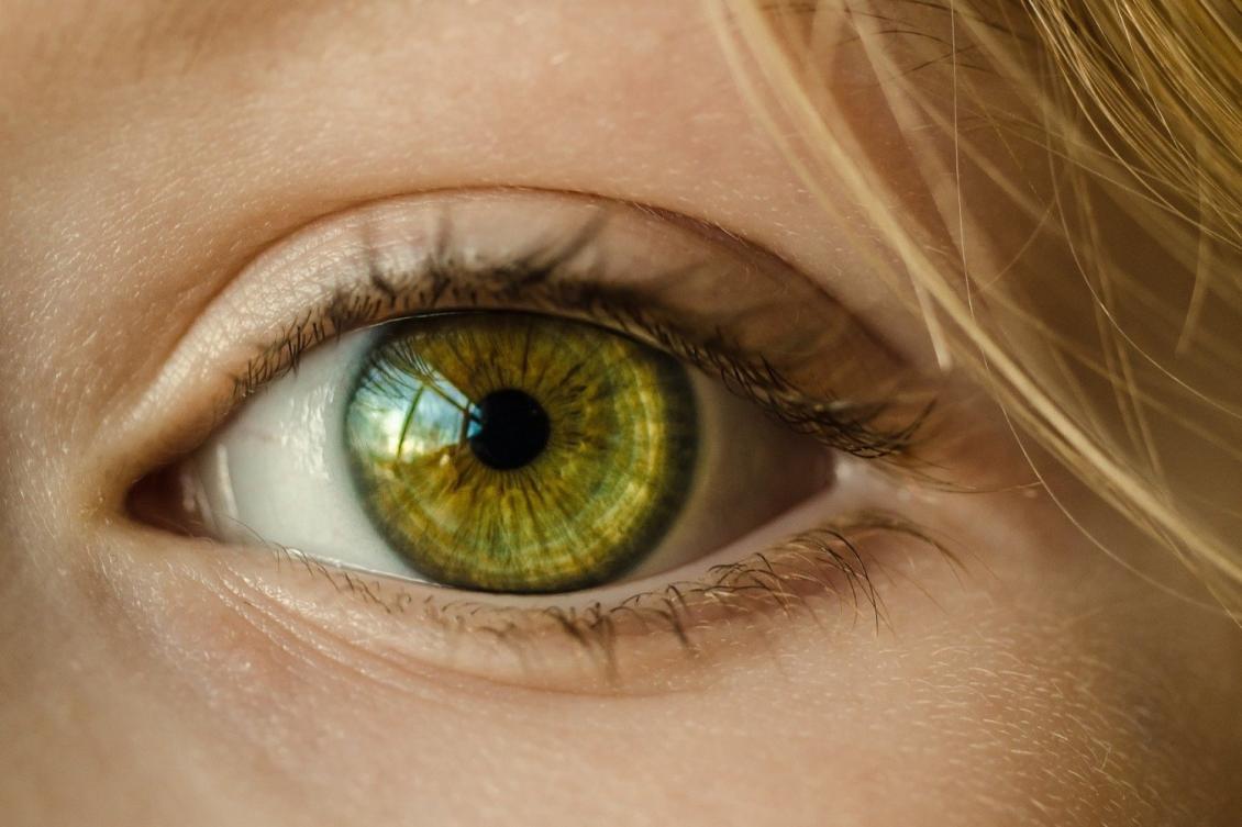 MIT study shows how vision can be rebooted in adults with amblyopia
