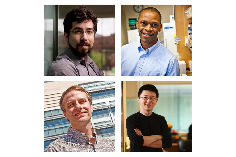 hhmi-mit-faculty-scholars.png hhmi-mit-faculty-scholars.png