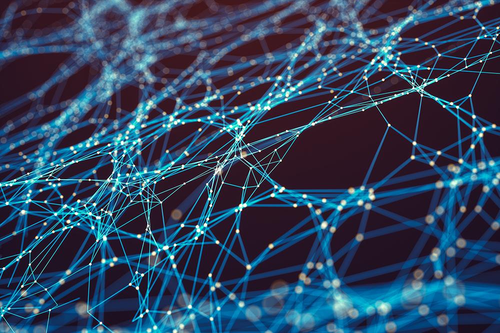 Neurons receive precisely tailored teaching signals as we learn