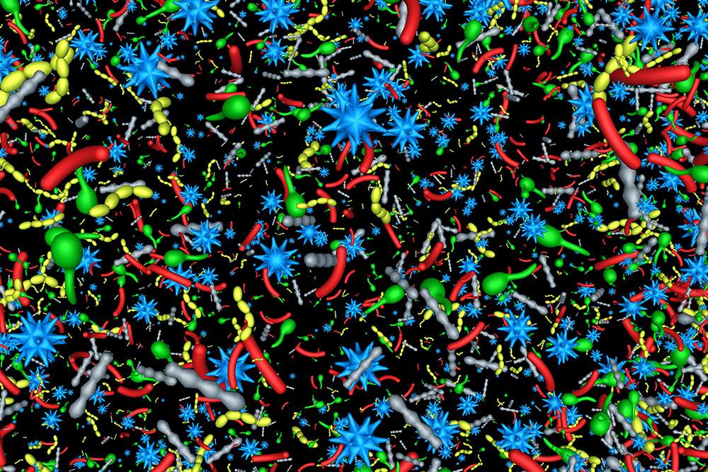 Research finds potential mechanism linking autism, intestinal inflammation Research finds potential mechanism linking autism, intestinal inflammation