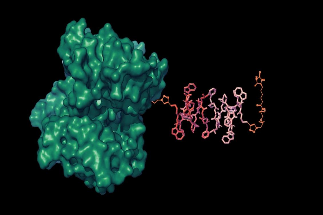 Brighter MRI signals