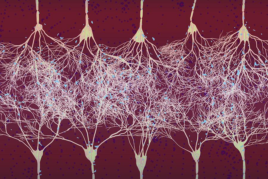 How visual learning happens in the brain