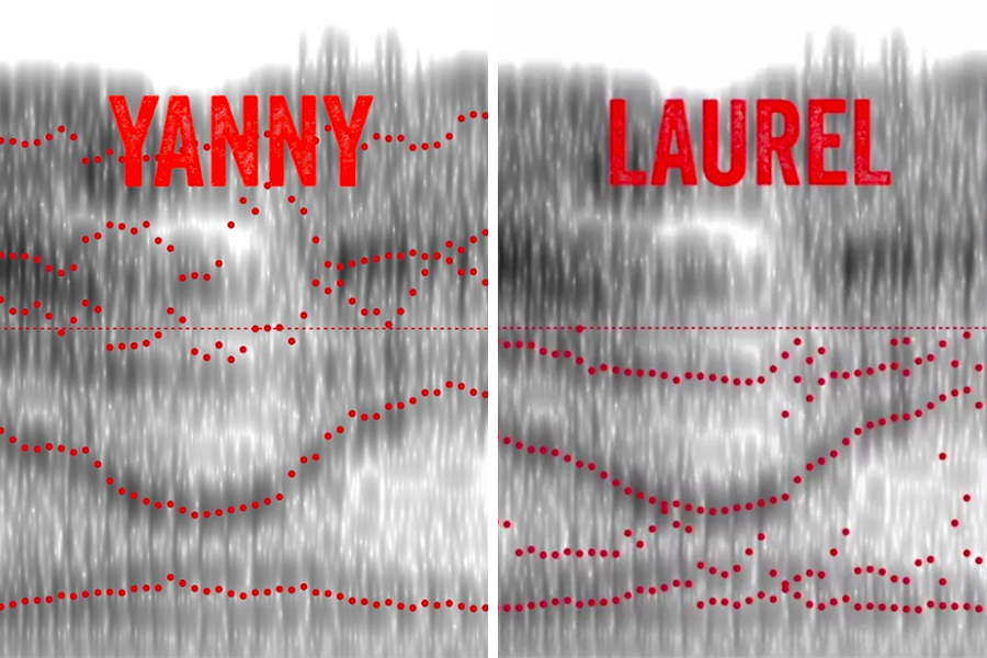 mit-mcgovern-neuroscience-laurel-yanny-2018_0.png mit-mcgovern-neuroscience-laurel-yanny-2018_0.png