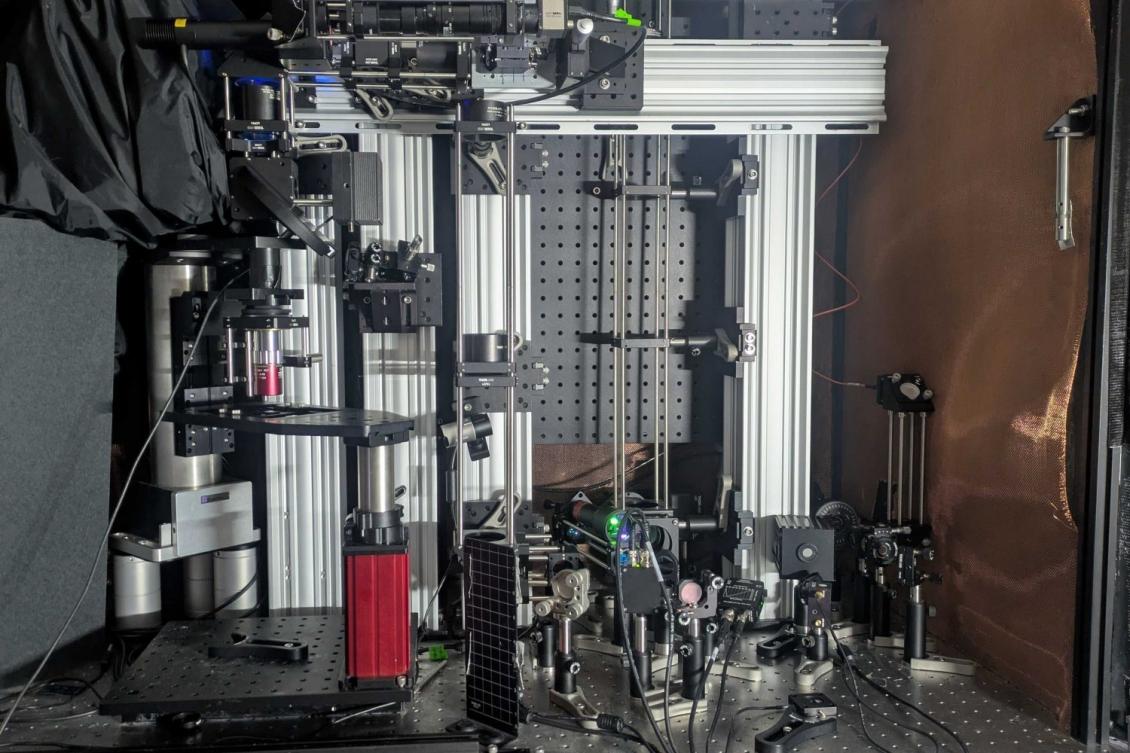 Imaging tech promises deepest looks yet into living brain tissue at single-cell resolution