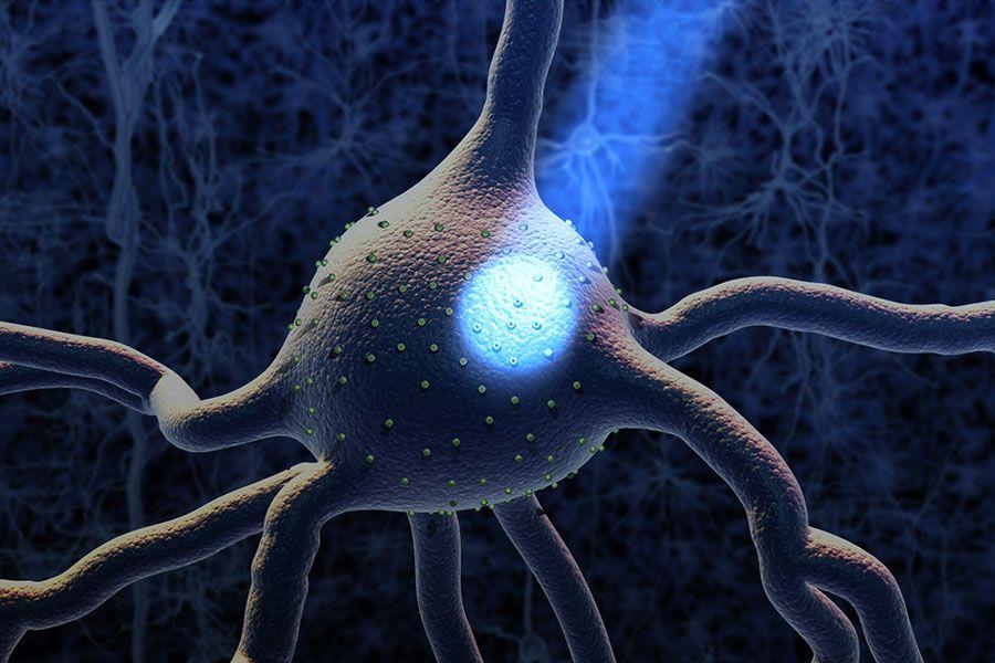 optogenetics-stimulation.jpg optogenetics-stimulation.jpg
