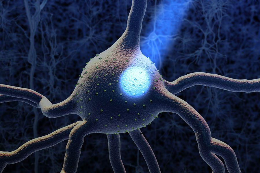 optogenetics-stimulation.jpg