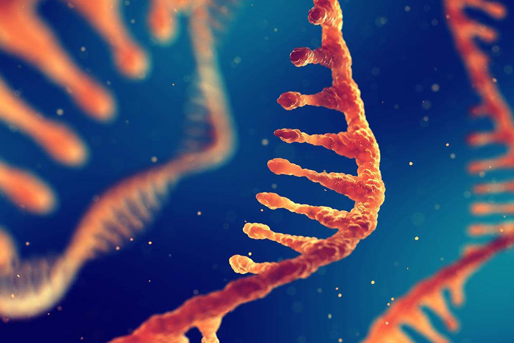 New technologies reveal cross-cutting breakdowns in Alzheimer’s disease New technologies reveal cross-cutting breakdowns in Alzheimer’s disease