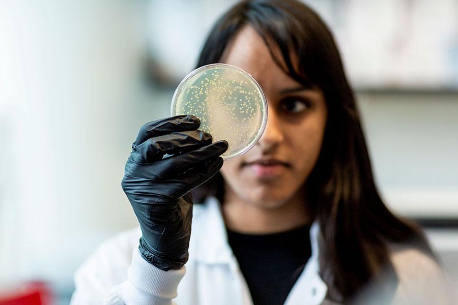 New programmable gene editing proteins found outside of CRISPR systems New programmable gene editing proteins found outside of CRISPR systems